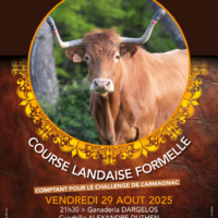 Affiches & Flyer en COULEUR